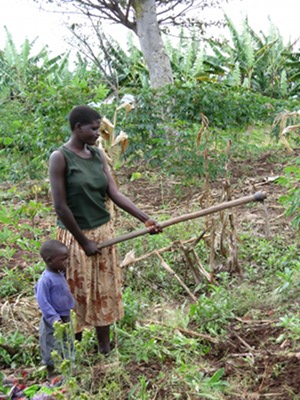 Farming farming