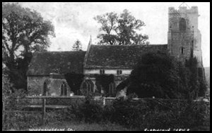 North View allsaints